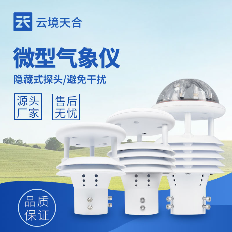 1753839648565083 微气象传感器
